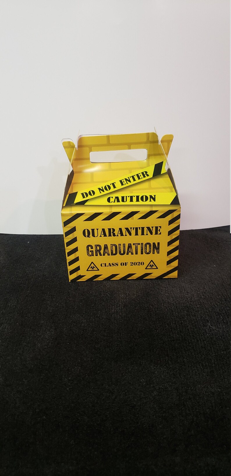 Quarantine Graduation / Quarantine Class of 2020 Party Favor Etsy