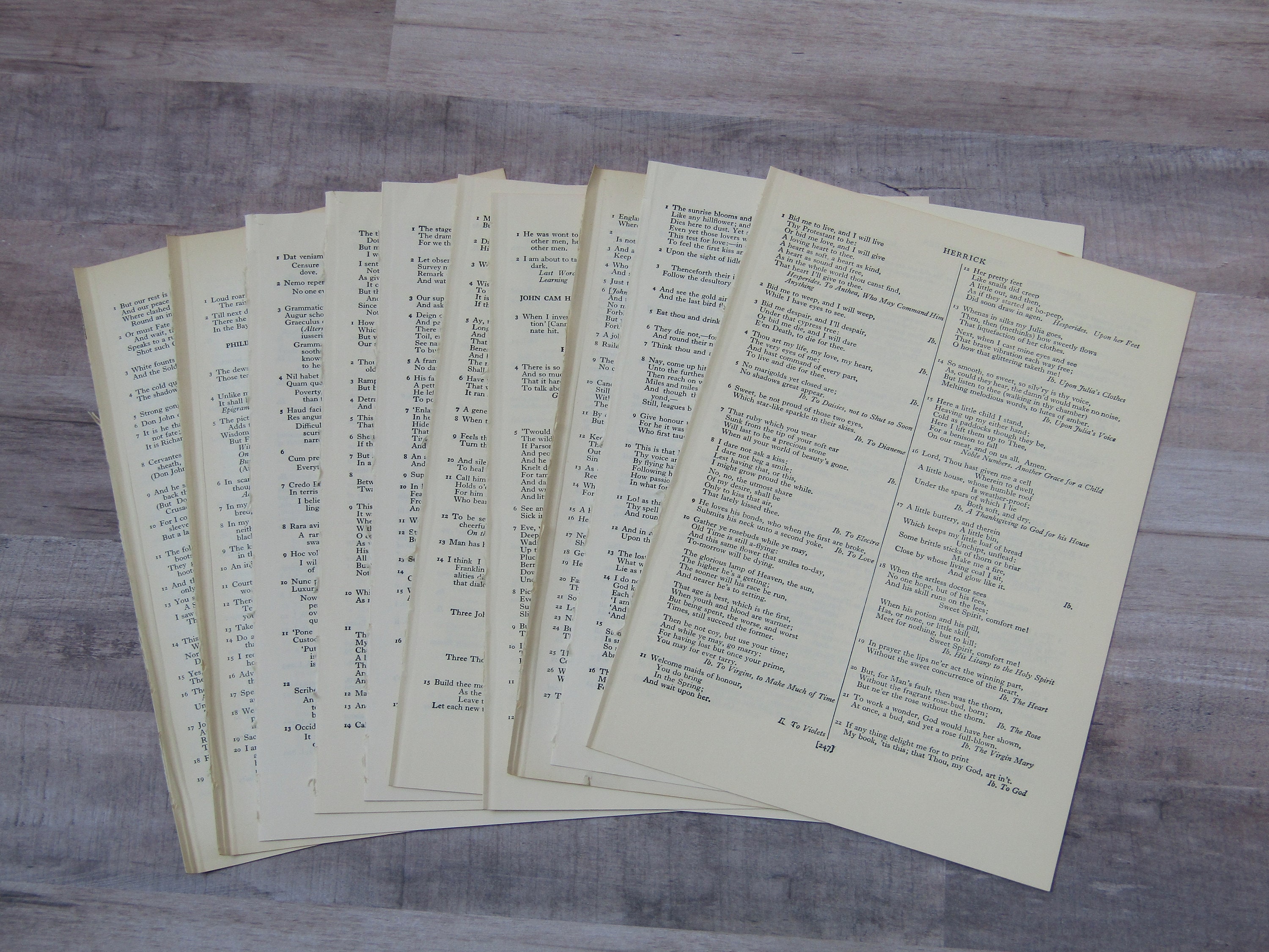 Art & Collectibles Dictionary Ephemera Scrapbooking Junk Journal