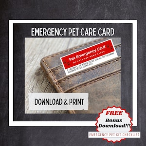Tarjeta de emergencia para mascotas