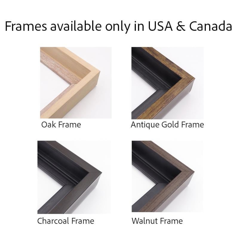 four different types of frames available in the USA and Canada, including oak, antique gold, charcoal, and walnut frames.