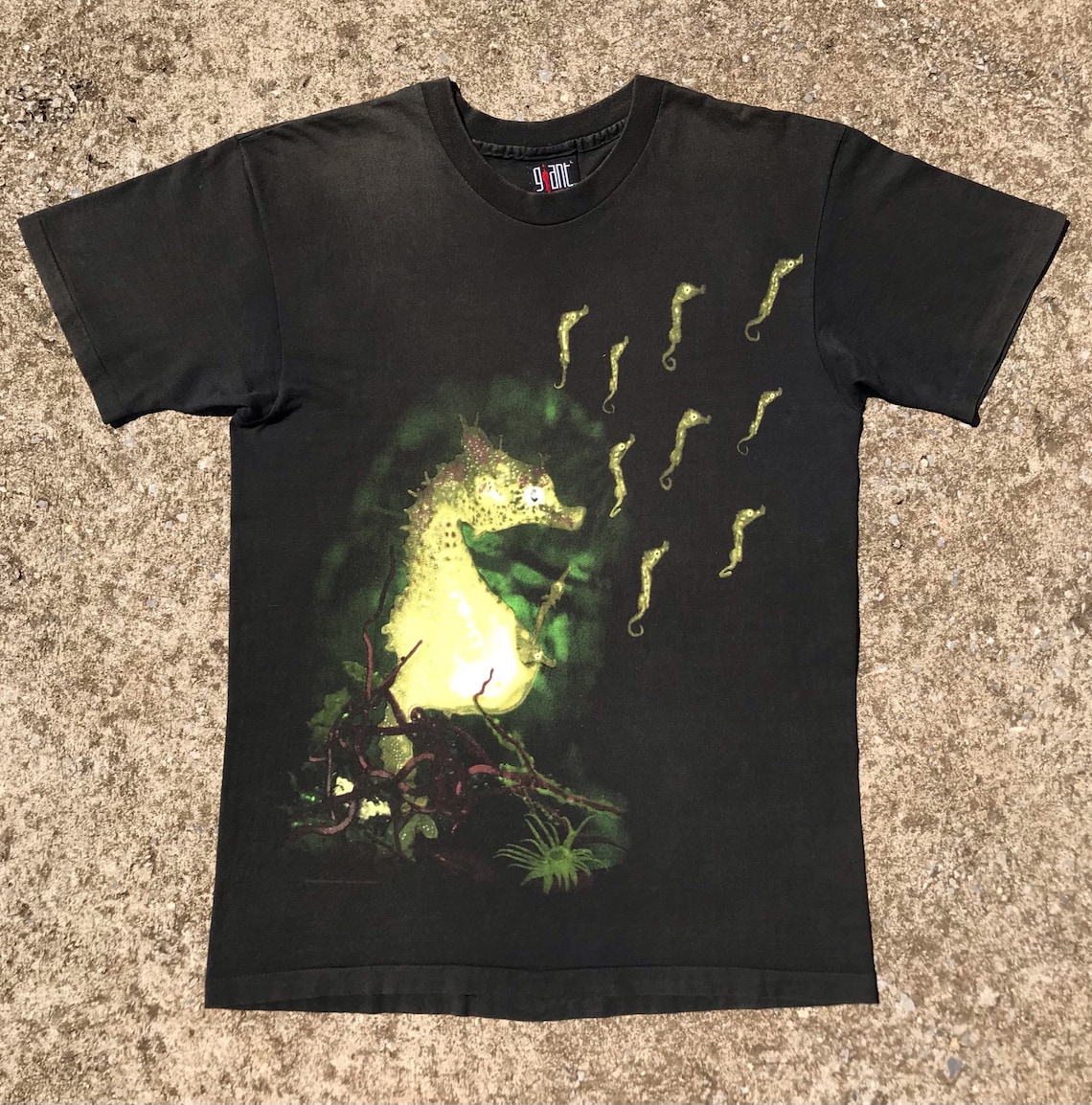 nirvana seahorse shirt