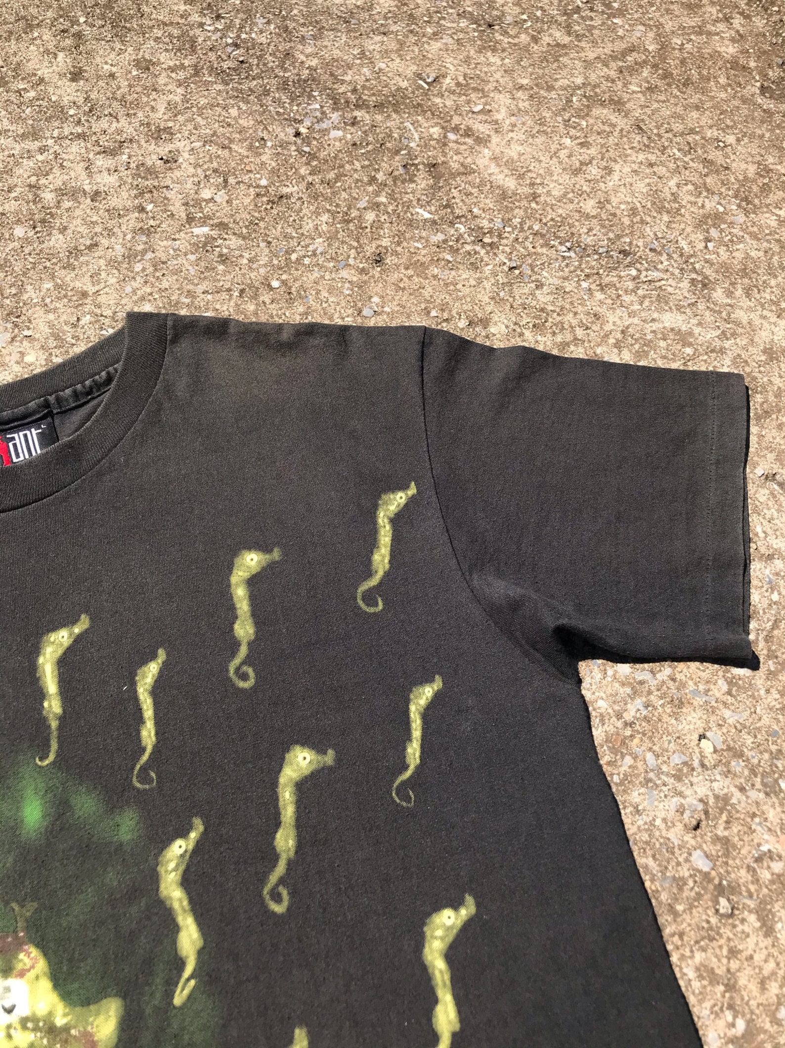 nirvana seahorse shirt