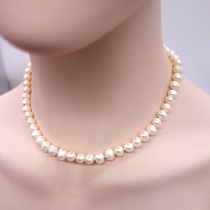May include: A white pearl necklace with a simple design. The necklace is made of small, round pearls that are strung together on a thin chain.