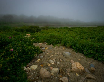 The path of the unknown.