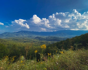 The Great Smokies