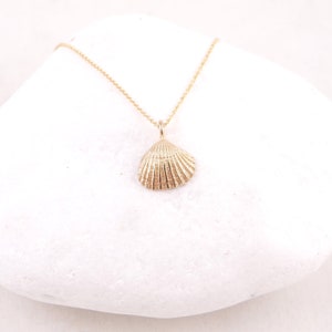 Solid Gold Seashell, Shell Charm, Perfect Summer Gift Idea, After Vacation,Back To School Gift, Best Beach Style,14K, Daughter Shell Pendant