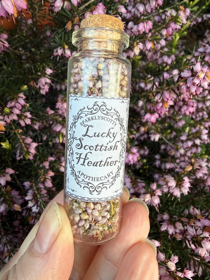 May include: A clear glass vial with a cork stopper filled with dried pink and white heather flowers. A white rectangular label on the front features black decorative borders and the text: Sparklyscotty Lucky Scottish Heather Apothecary.