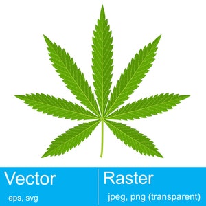 Marijuana leaf vector illustration
