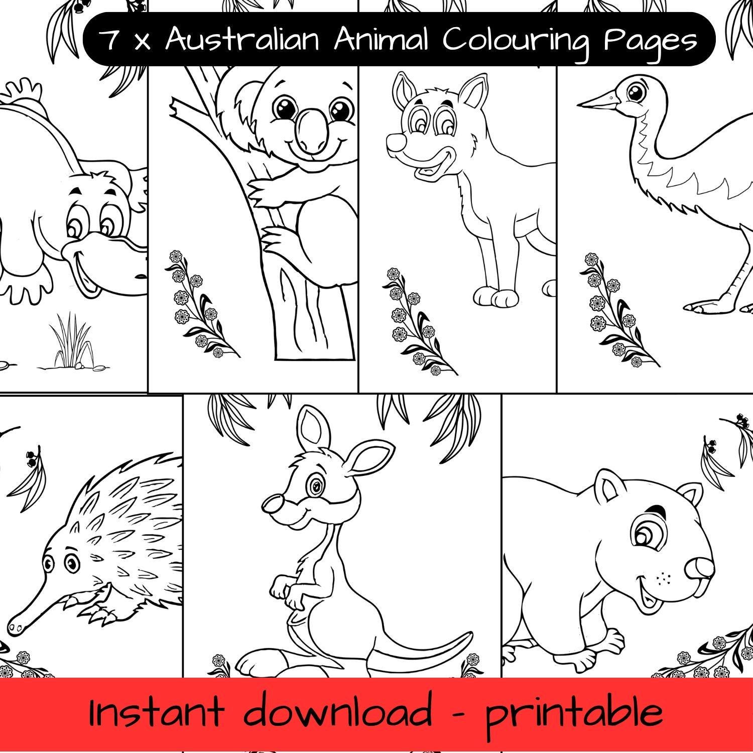 39 Awesome Animal Crafts For Kids 31 Australian Animals Coloring Pages: Printable Wildlife Coloring…