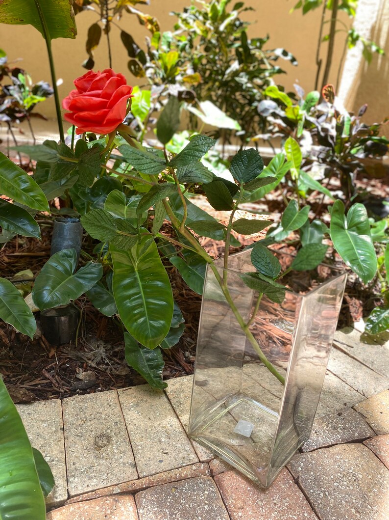 Bouquet Roses. Stem 60 Cm. 25 Roses More Colours Present for Etsy