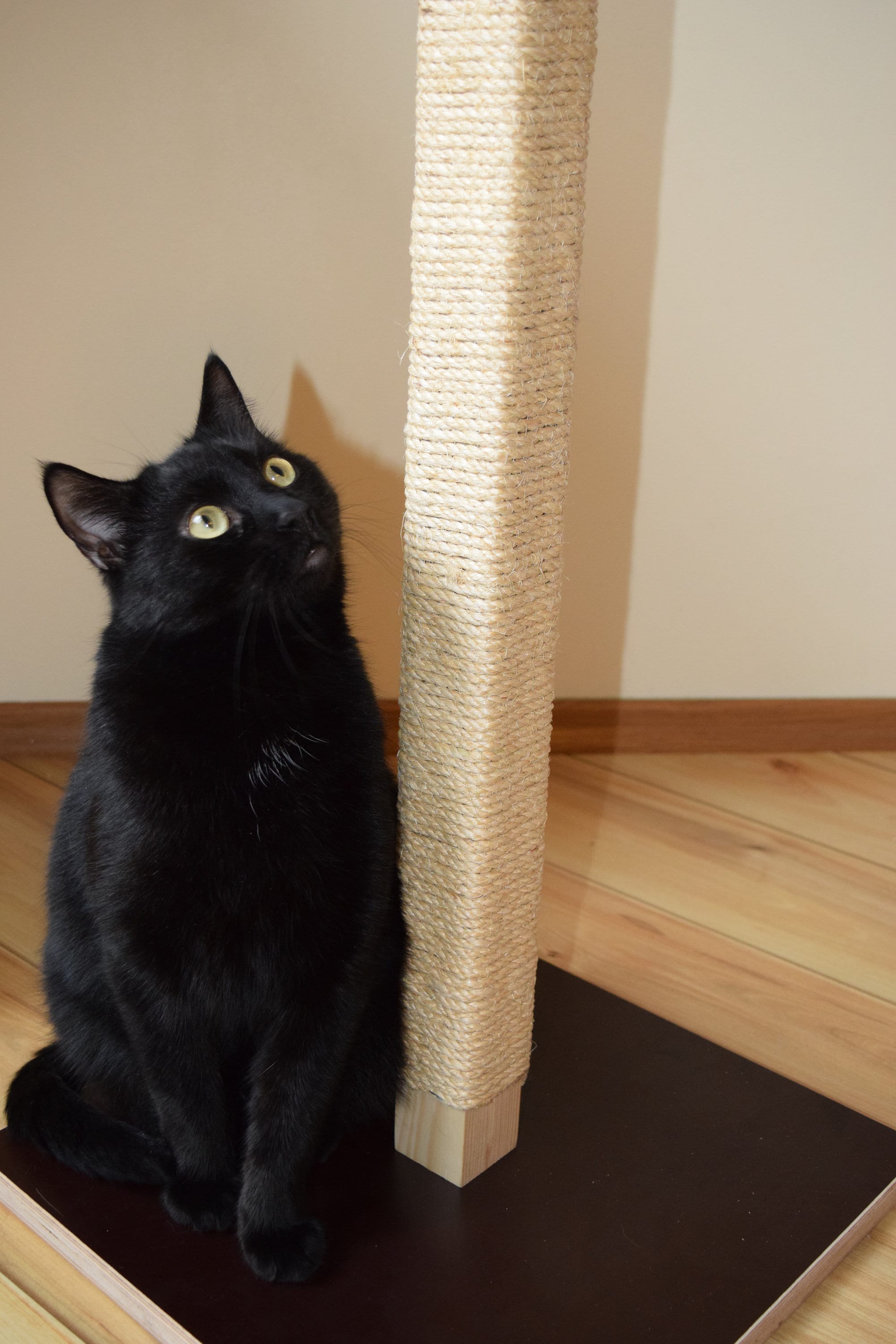 Modern Cat Scratching Post/Wooden Scratcher/Pet furniture/Wood/Sizal