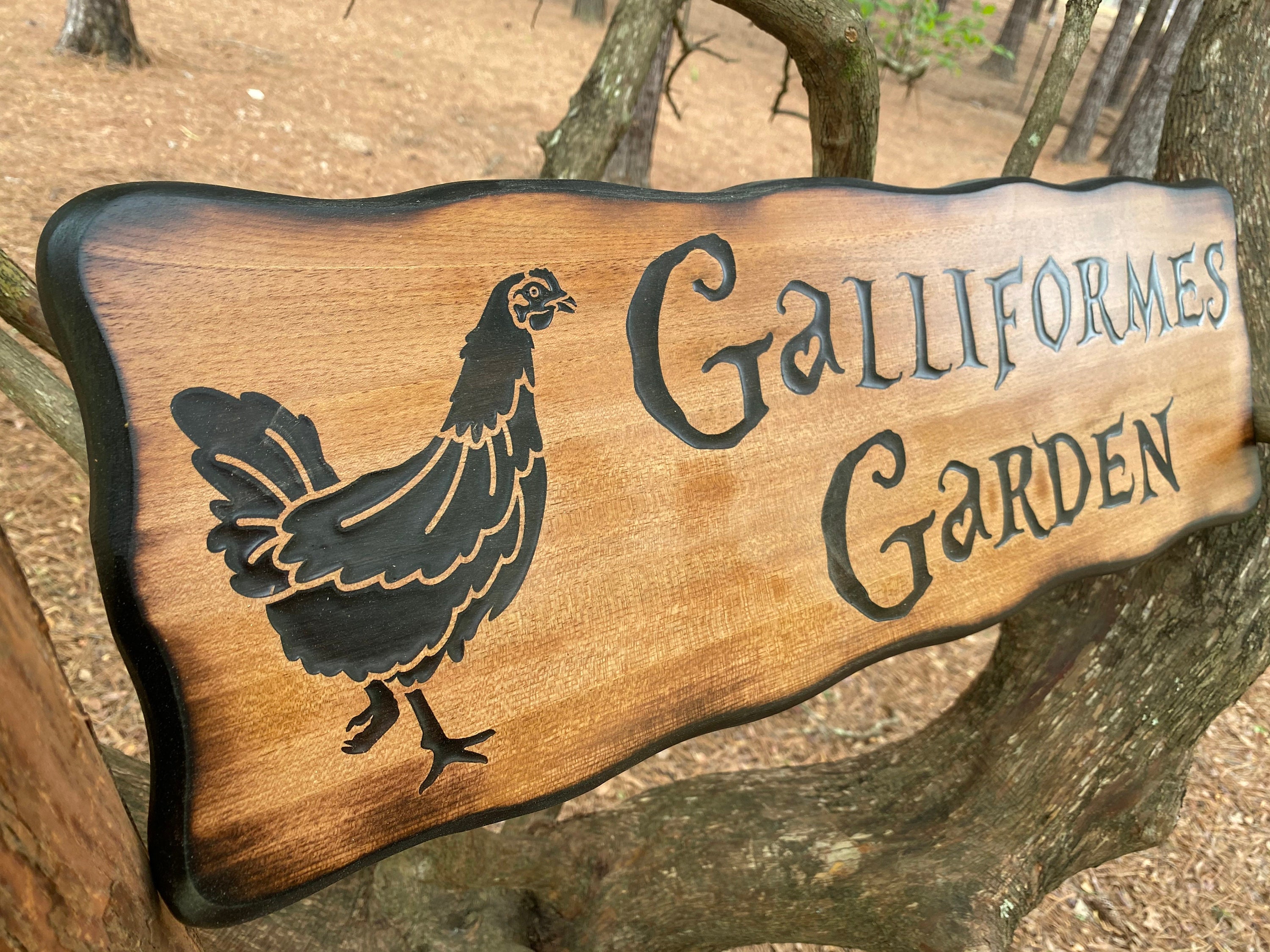 Personalized Outdoor Chicken Coop Sign Large Personalized Etsy