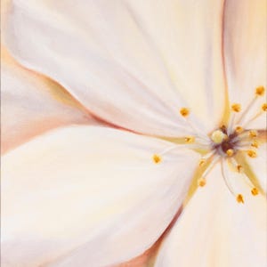 Cherry Blossom - 18&quot; x 24&quot; Oil on Canvas