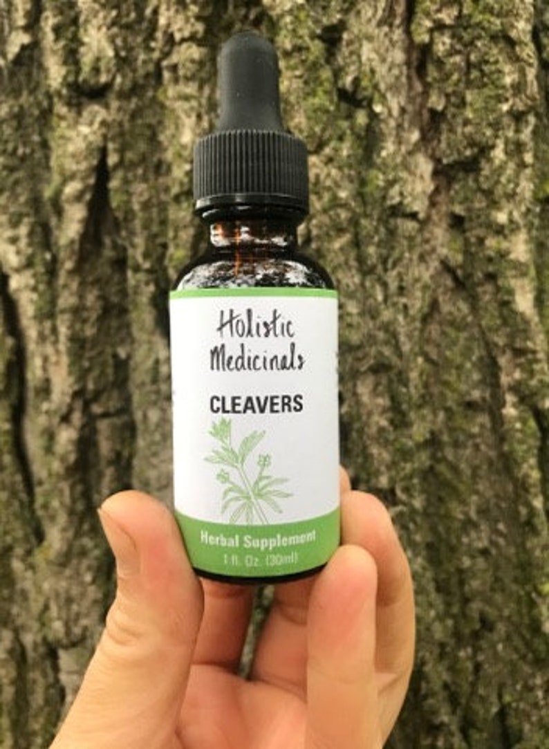 Cleavers Tincture Etsy