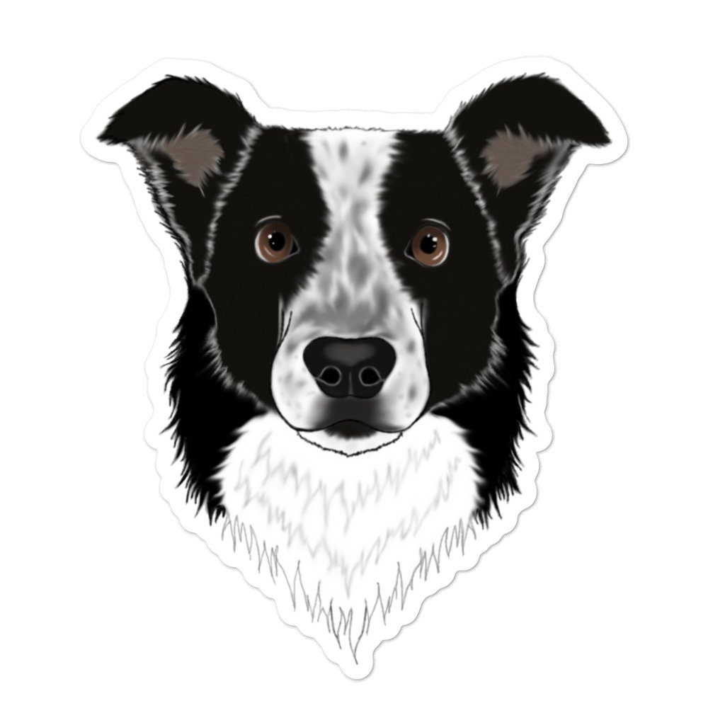 Border Collie Sticker | Etsy