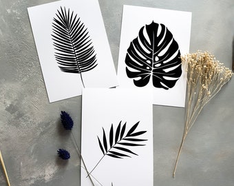 Könnte beinhalten: Drei Schwarzweißdrucke von tropischen Blättern auf weißem Karton. Die Blätter sind ein Palmblatt, ein Monsterablatt und ein Farnblatt.