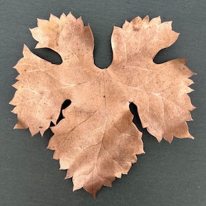 May include: A metallic copper-coloured leaf ornament with a distinct five-lobed shape and serrated edges. The surface features a textured, weathered patina with visible dark brown speckling and fine, etched vein details across the entire leaf.