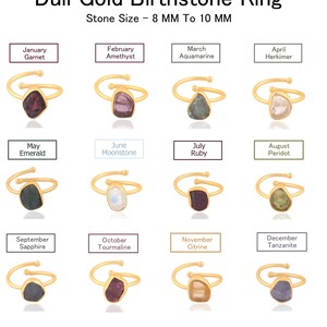 Könnte beinhalten: Eine Sammlung goldfarbener Geburtssteinringe, jeder mit einem anderen Edelstein. Die Ringe werden mit Etiketten angezeigt, die den Monat und die Steinart angeben, wie Granat für Januar und Tansanit für Dezember. Der Text "Dull Gold Birthstone Ring" steht oben.