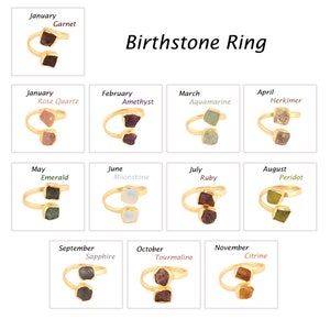 Könnte beinhalten: Ein Set aus 12 goldenen Ringen, jeder mit einem anderen farbigen Edelstein, der einen Monat des Jahres repräsentiert. Die Ringe sind in einem Raster angeordnet, wobei der Monat und der Name des Edelsteins über jedem Ring stehen. Der Text "Birthstone Ring" wird oben im Bild angezeigt.