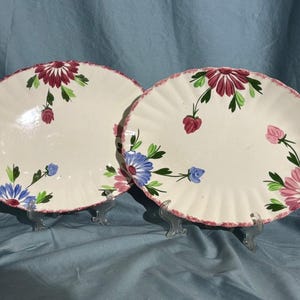 Könnte beinhalten: Zwei weiße ovale Servierplatten mit rosa, blauen und grünen Blumendesigns. Die Platten haben einen gewellten Rand und stehen auf Präsentationsständern.