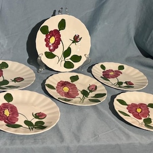 Blue Ridge Mirror Image - Colonial