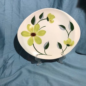 Blue Ridge Green Eyes