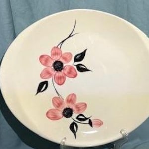 Blue Ridge Cherokee Rose