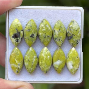 Pode incluir: Dez pedras preciosas ovais numa bandeja branca. As pedras preciosas são de cor verde-amarela vibrante com inclusões cinza escuro e brancas. As pedras são polidas e têm uma superfície lisa e brilhante. A bandeja é segurada por uma mão.