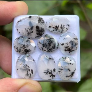 Dendriten Opal Edelstein Scheiben: Natürliche Freeform Rosensteine, 13-18 mm (8 Stück)