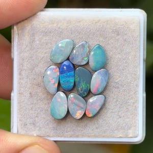 Puede incluir: Una colección de diez ópalos ovalados en una caja de plástico blanco. Los ópalos muestran una variedad de colores, incluyendo azul, verde, rosa y blanco, con destellos iridiscentes. Los ópalos están colocados sobre un fondo de fieltro gris.