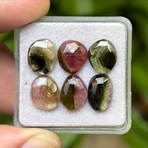 May include: Six faceted tourmaline gemstones in a clear plastic case. The gemstones display a variety of colours, including pink, green, and black. The stones are oval-shaped and have a polished, reflective surface.