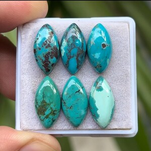 Peut inclure: Six cabochons en turquoise de forme marquise, présentés dans une boîte blanche. Les pierres sont un mélange de teintes bleu clair et foncé avec une matrice brune et noire.