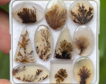 Natural Dendrite Agate Cabochons: Scenic Gemstones for Jewelry Making (12-21 mm, 10 Pieces) S3-24
