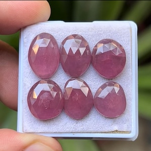 May include: Six oval-shaped, faceted gemstones in a light pink hue are displayed in a white tray. The gems have a polished, reflective surface, and are arranged in two rows of three. The background is blurred, suggesting an outdoor setting.