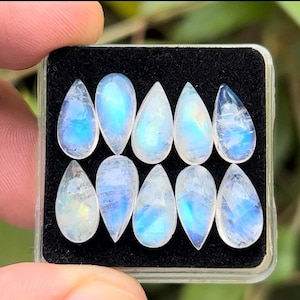 May include: A collection of eight pear-shaped moonstone cabochons in a clear plastic box. The stones are a milky white with iridescent blue and green flashes.