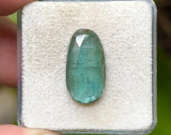 100% Natural Green Kyanite Flat Back Rose cut Slices Loose Gemstones Freeform Shape, 10x19 mm, 1 Piece Lot for Making Jewelry