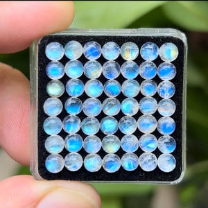 May include: A collection of round, iridescent moonstone cabochons displayed in a clear plastic case with a black velvet base. The stones exhibit a range of blue and white hues, with a subtle play of light.