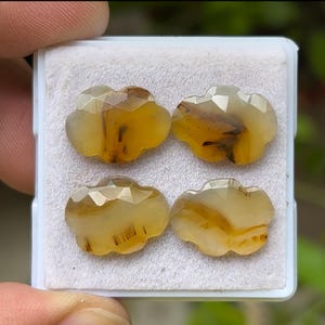 Könnte beinhalten: Vier wolkenförmige Edelsteine mit facettierten Oberflächen. Die Steine sind hauptsächlich gelb mit braunen und weißen Einschlüssen. Sie befinden sich in einem weißen Kunststoffbehälter, der von einer Hand gehalten wird.