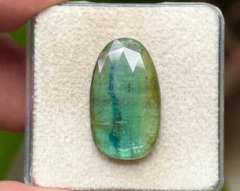 100% Natural Green Kyanite Flat Back Rose cut Slices Loose Gemstones Freeform Shape, 22x13 mm, 1 Piece Lot for Making Jewelry