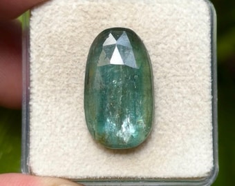100% Natural Green Kyanite Flat Back Rose cut Slices Loose Gemstones Freeform Shape, 22x13 mm, 1 Piece Lot for Making Jewelry