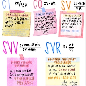 May include: A handwritten medical study guide titled "Calculations" with notes on cardiac index, output, stroke volume, and systemic vascular resistance. The notes are on colorful sticky notes with handwritten text and formulas.