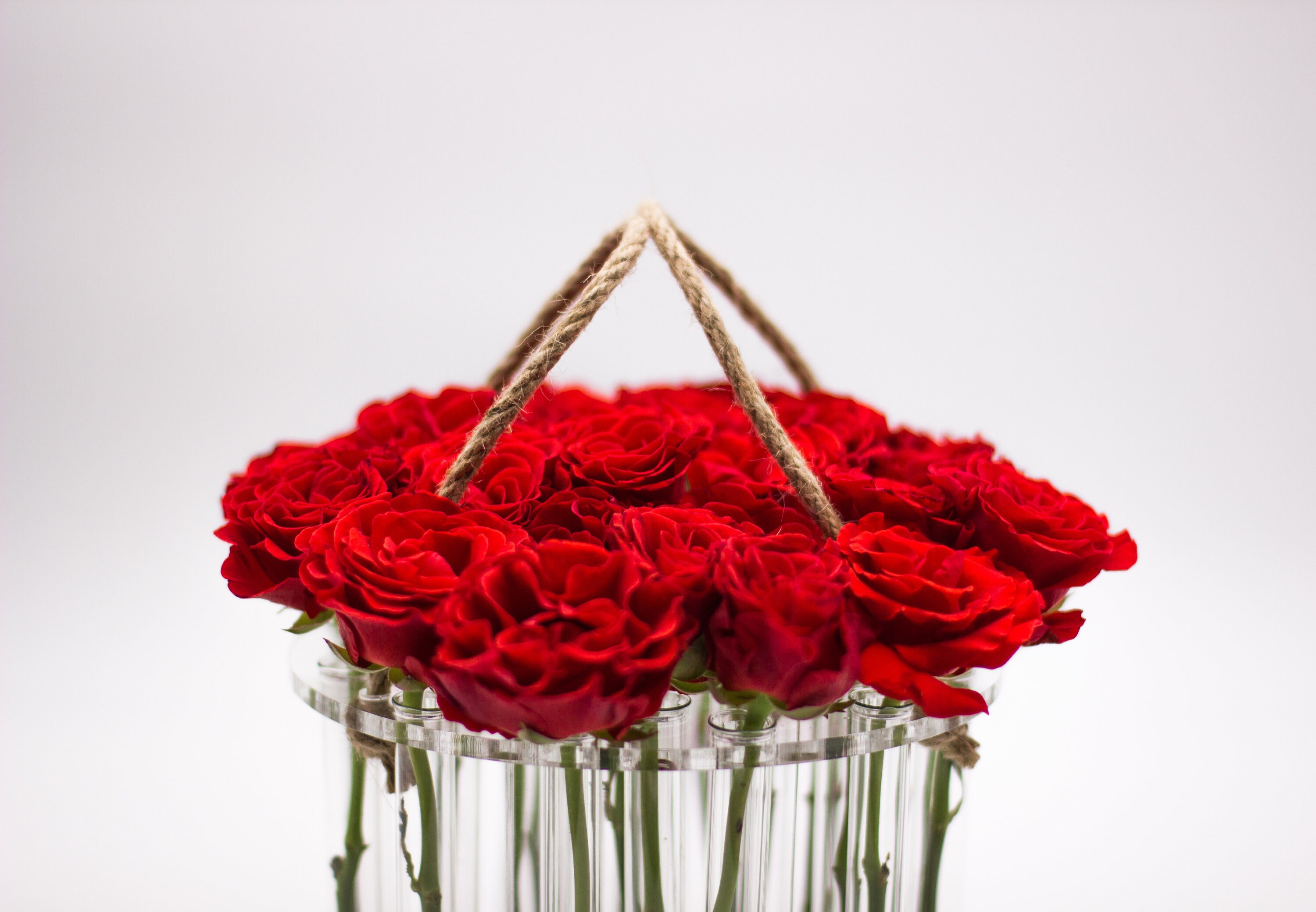 Round flower vase with test tubes home decoration Plant Etsy