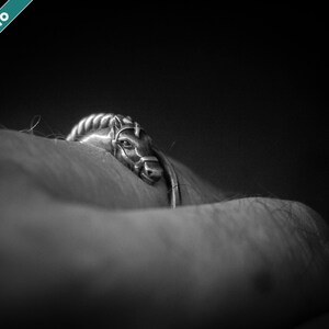 May include: A silver-toned ring featuring a horse head design. The horse head has detailed features, including a bridle. The ring is set against a dark background, creating a striking contrast. The image is labeled "REAL PHOTO".