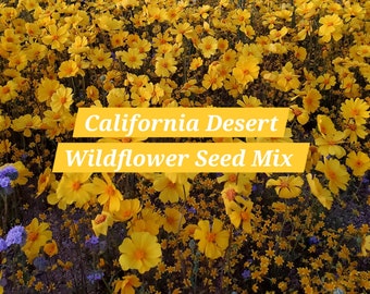 California Desert Wildflower Seed Mix|Native Plants|Southwestern Flowers|Native Seeds|Desert Plants|California Flowers|Gifts for Gardeners