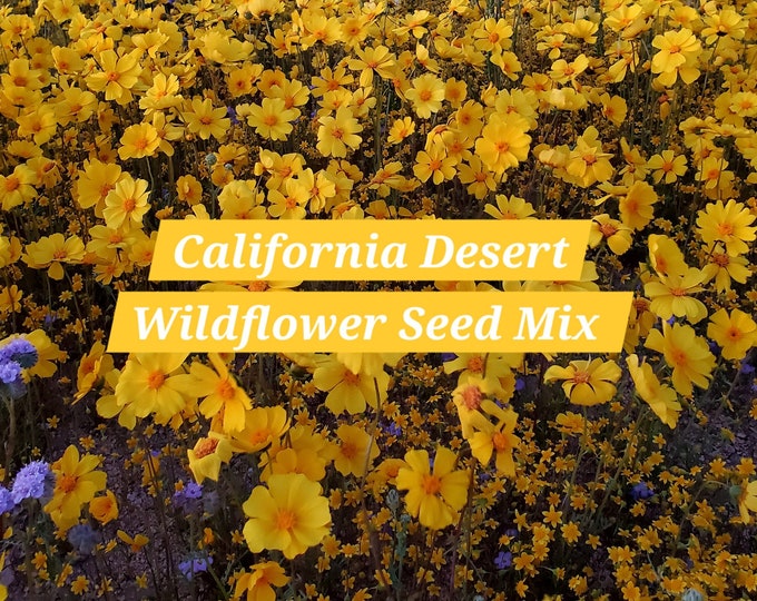 California Desert Wildflower Seed Mix|Native Plants|Southwestern Flowers|Native Seeds|Desert Plants|California Flowers|Gifts for Gardeners
