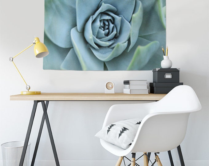 Succulent Tapestry|Dudleya|California Native Plants|Southwestern Plants|Unique Gift|Home Decor|Garden|