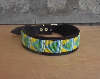 Pet Collars & Leashes 