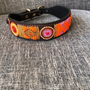 African Beaded Leather Dog Collar, Maasai Handmade Dog Collar, Personalized Bead Dog Collar, Kenyan Dog Collar African Pet Jewelry G image 6
