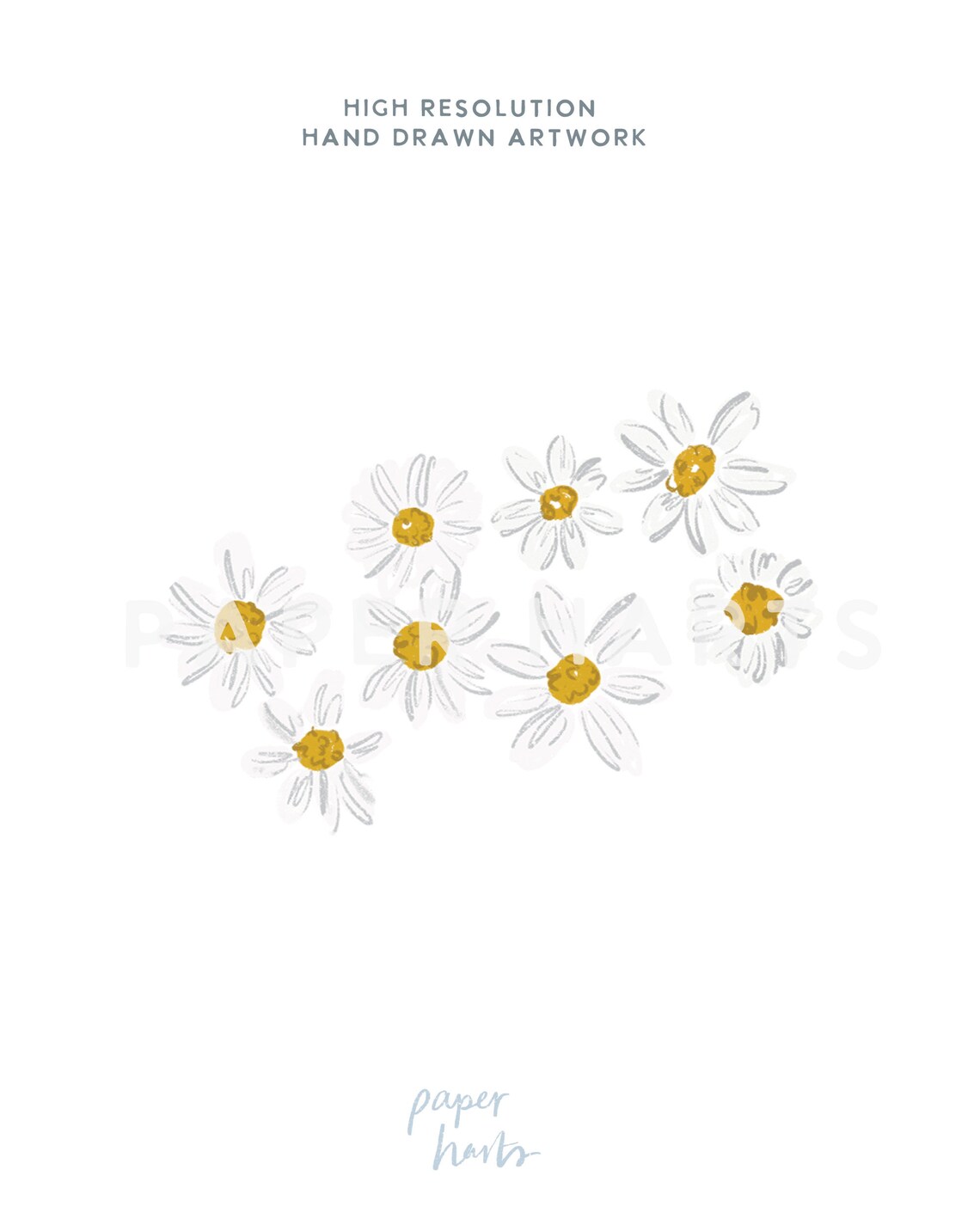 Daisy Invitation Template Printable Birthday Invite Daisy Third Daisy Invitation Template Printable Birthday Invite Daisy Third