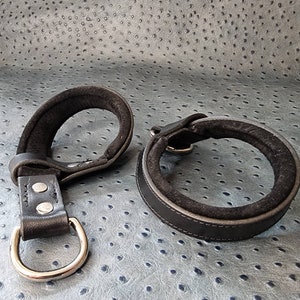 Könnte beinhalten: Zwei schwarze Lederhundehalsbänder mit gepolstertem Futter. Ein Halsband hat einen silbernen D-Ring und zwei silberne Nieten.